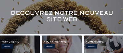 mini site